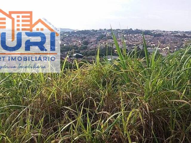 #1077 - Área para Venda em Bragança Paulista - SP - 3