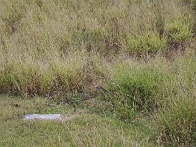 #1112 - Área para Venda em Bragança Paulista - SP - 3