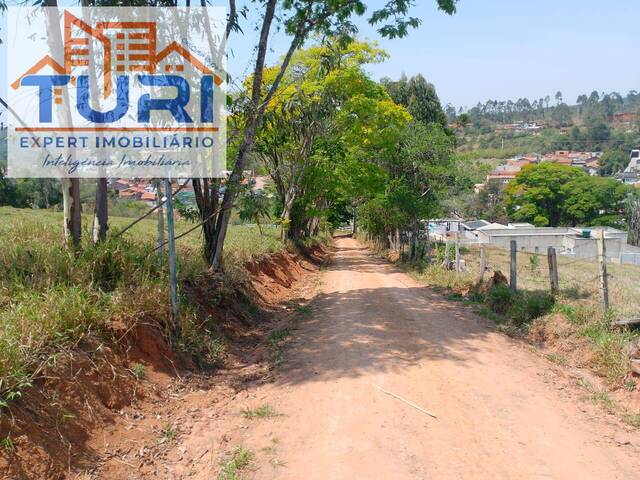 #1254 - Sítio para Venda em Bragança Paulista - SP - 3